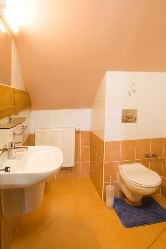 Pension Smetanuv Statek Hradec Kralove Exterior photo