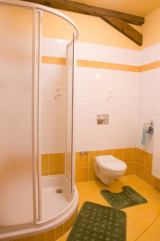 Pension Smetanuv Statek Hradec Kralove Exterior photo